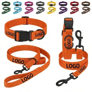 Adventure-Ready Heavy-Duty Nylon Dog Leash and Collar Set